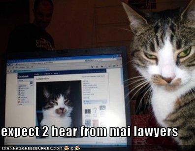facebook-kitty-lawyers-up.jpg