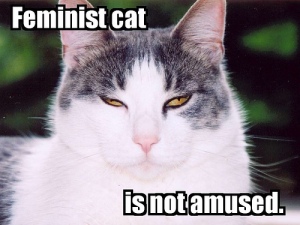 feminist-cat.jpg