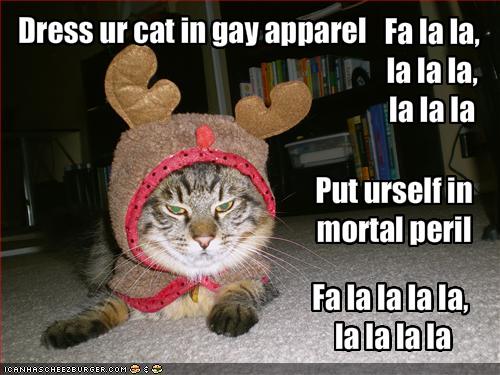 gay-apparel-cat.jpg
