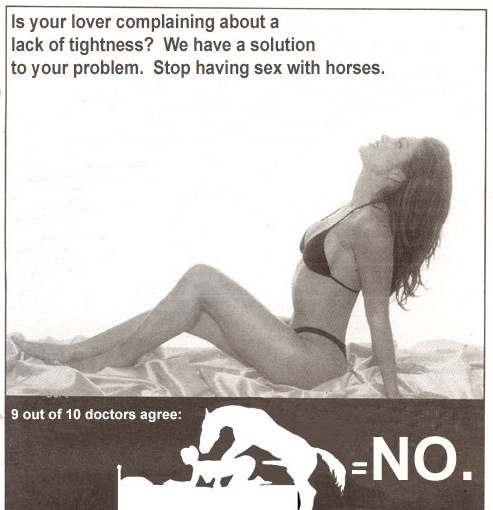 no-horse-sex.jpg