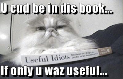 If only those idiots were useful, eh kitty?