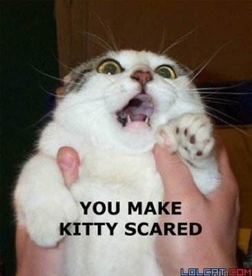 you-make-kitty-scared.jpg