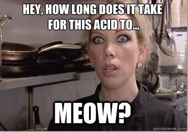 acid-meow.jpg