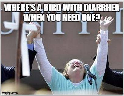 bird-with-diarrhea.jpg