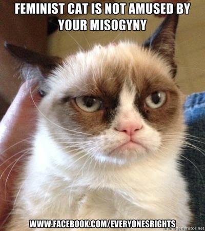 feminist-cat-not-amused.jpg