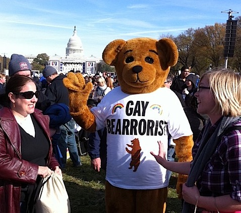 gay-bearrorist.jpg