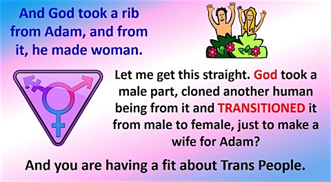 god-makes-trans-woman.jpg