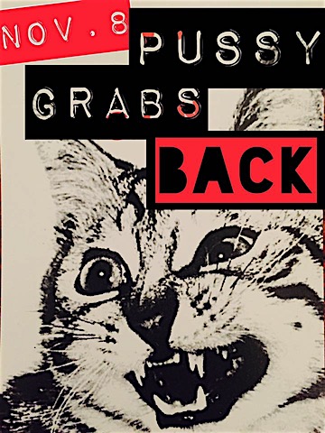 pussy-grabs-back.jpg