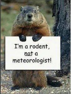 rodent-not-meteorologist.jpg