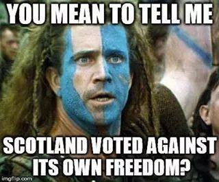 scotland-voted-against.jpg