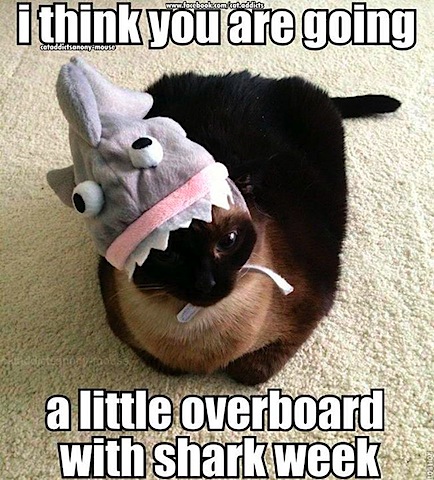 shark-week-overboard.jpg