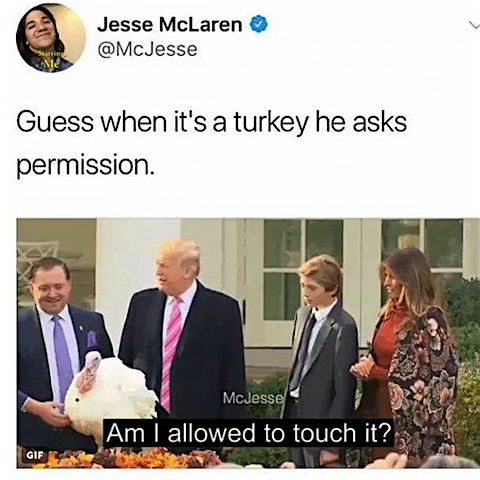 turkey-permission.jpg